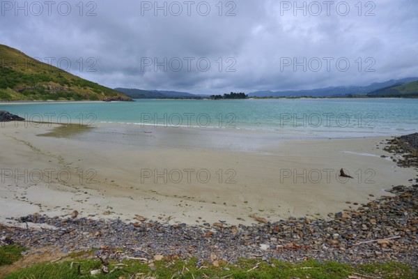 A beach with a New Zealand fur seal (Arctocephalus forsteri), and views of the turquoise sea under