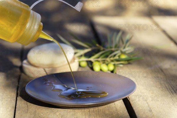 Pouring fresh extra virgin olive oil from a squirt bottle onto a plate, with olive branches in the