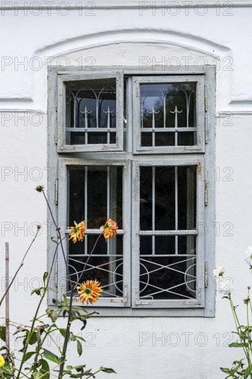 Old window with faded paint in front of a white façade and flowers in the foreground, Weinviertel