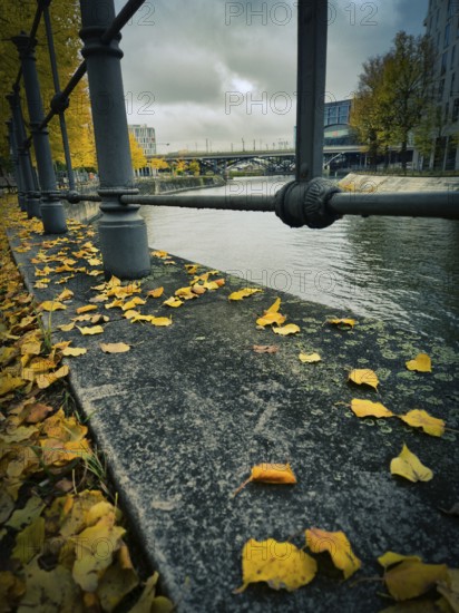 Wet stone edge on the canal with yellow autumn leaves and solid railings, in the background bridge