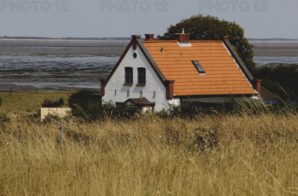 House off the Wadden Sea on Amrum Island, Schleswig-Holstein, Germany