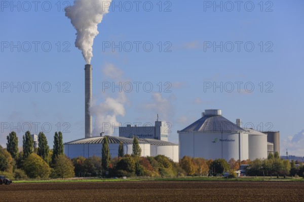 Nordzucker AG sugar factory, smoking chimney during the autumn harvest of sugar beets in the