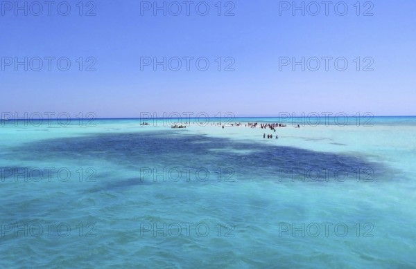 White Island, a tropical paradise and one of Egypt's landmarks, known as the Egyptian Maldives, is