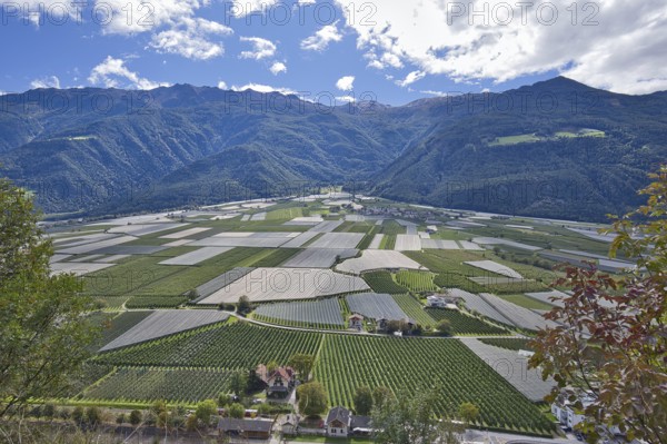 In the Vinschgau Valley in Italy, fruit and wine are grown and there is a lot of agriculture