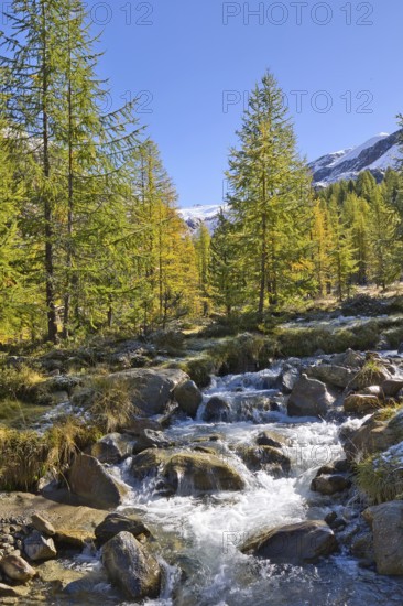 The water flows from the glaciers down into the Langtauferer Valley in the Vinschgau Valley, Italy