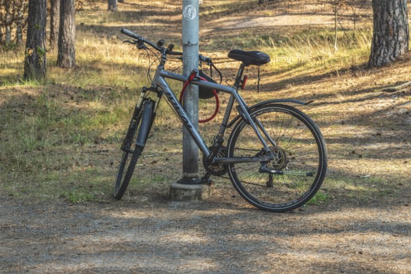 Parked modern bicycle locked to a lamppost in park in Ystad municipality, Skåne county, Sweden,