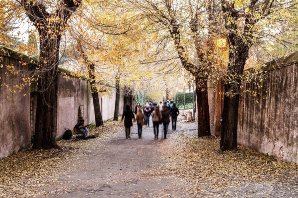 Via di San Bonaventura at the Palatine Hill. Rome, Province of Rome, Italy. 23.12.2012