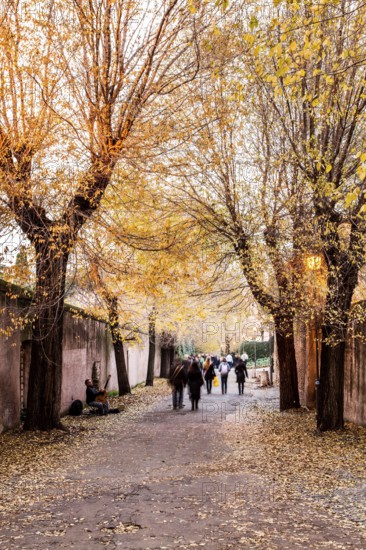 Via di San Bonaventura at the Palatine Hill. Rome, Province of Rome, Italy. 23.12.2012