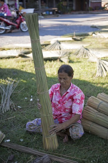 Thailand, Patthalung, Tale noi, Sorting, Separation and Tying up of the dried grey rushes or sedges