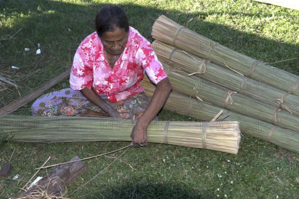 Thailand, Patthalung, Tale noi, Sorting, Separation and Tying up of the dried grey rushes or sedges