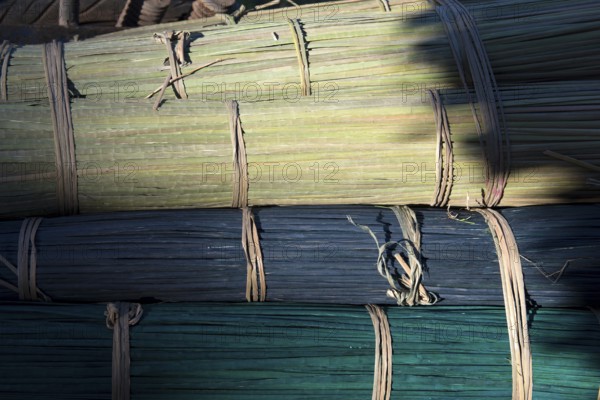 Thailand, Patthalung, Tale noi, Rollers of prepared grey rushes or sedges, dried, put in color and