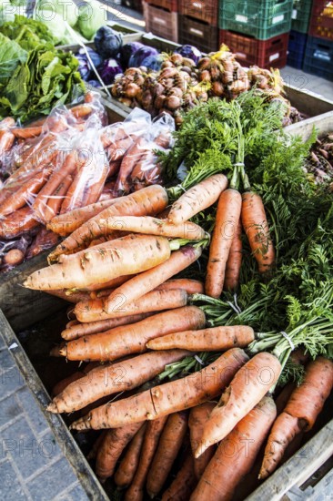 Feira de produtos orgânicos da Lagoa da Conceição, que ocorre todos os sábados, das 7:00 às 12:00,