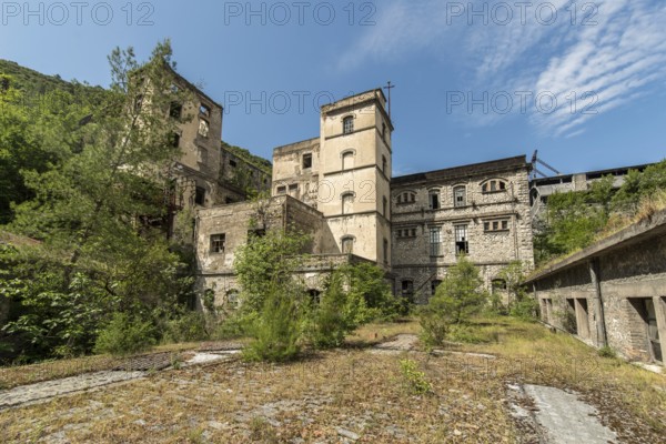 Abandoned building overgrown by vegetation under blue sky, showing signs of weathering and