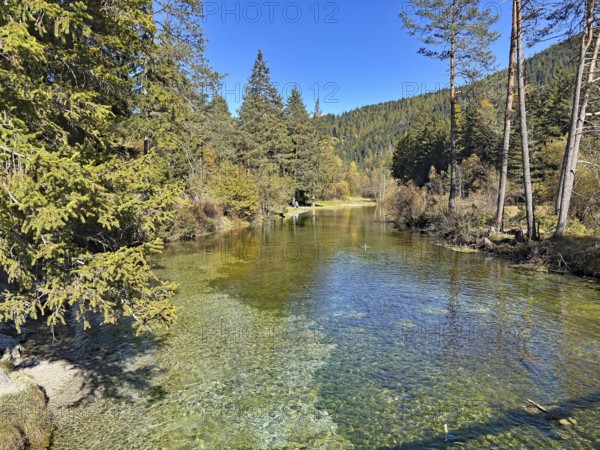 Small river flows through a forest with clear water and surrounded by trees, Lake Toblach, Lake