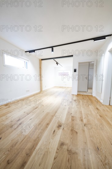 Light-flooded room with wide oak flooring and black track lights, clean lines, house renovation,