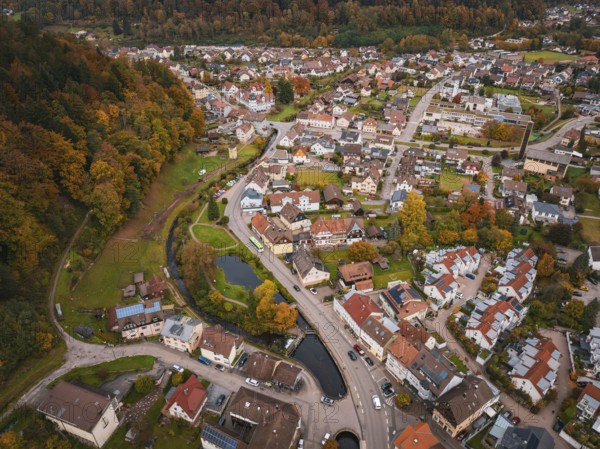 Drone view of an urban landscape with park and watercourse in picturesque autumn scenery, Calmbach,