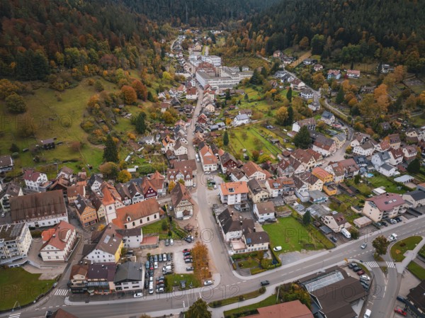 Top view of a small town nestled in autumn mountain landscape with roads and meadows, Calmbach, Bad