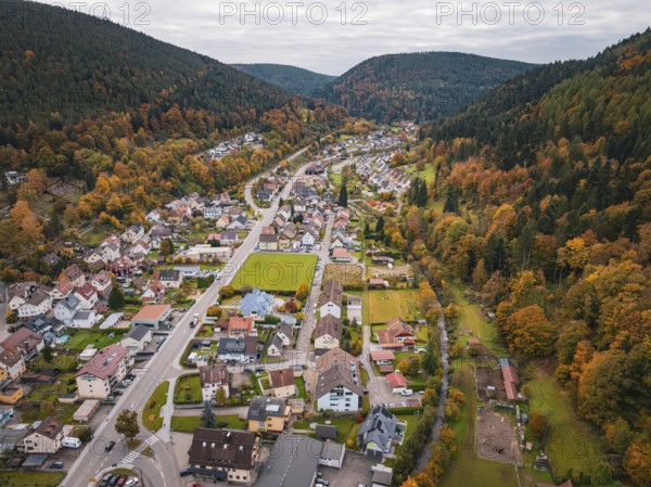 Bird's-eye view of a small town surrounded by forests with colorful foliage in autumn, Calmbach,