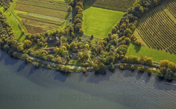 Aerial view, restaurant Haus am See, Lake Baldeney and autumnal forest, half-timbered building