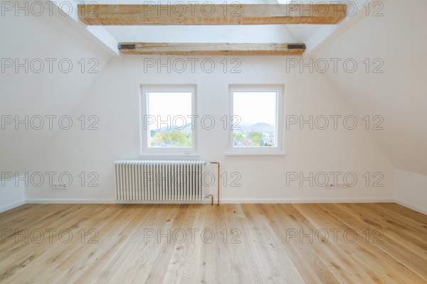 Two windows above a radiator with a view of the countryside in a quiet, bright room, house