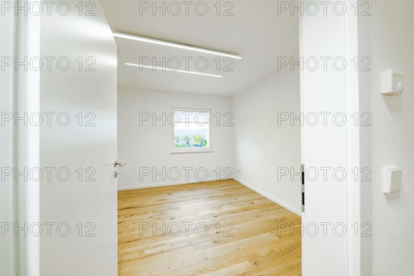 Empty, bright room with oak floor, white door and window, modern linear lights on the ceiling,
