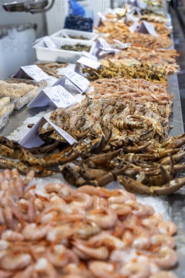 A stand selling fish at a market. Beautifully presented and shelved Fish buyers at Mercado Central