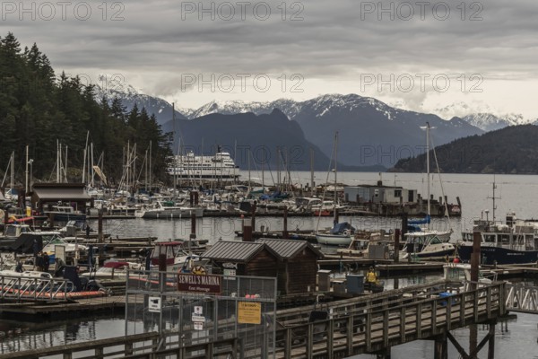 Marina with numerous boats, scenic mountain backdrop, and a cloudy sky in Horseshoe Bay, West