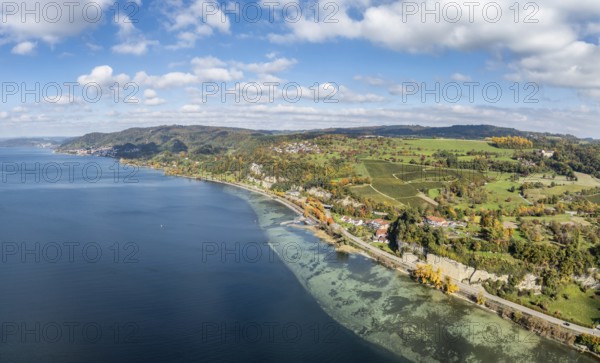 Aerial view, panorama of Lake Constance, Überlinger See, surrounded by autumn vegetation with the