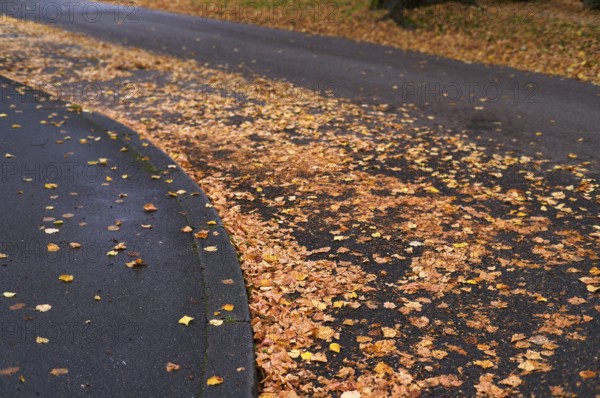 Public road in residential area full of autumn leaves, leaves, risk of slipping, autumn,