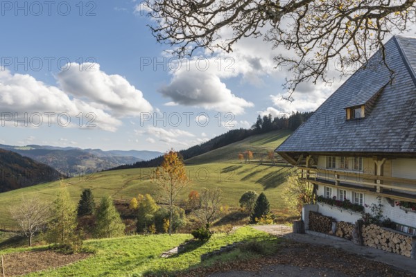 Historic Schwarzwaldhof in Muggenbrunn near Todtnau, Black Forest, Baden-Württemberg, Germany