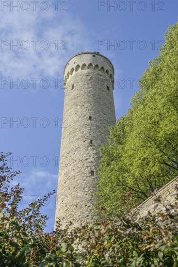 City wall, tower, Langer Hermann Pikk Hermann, Old Town, Tallinn, Estonia