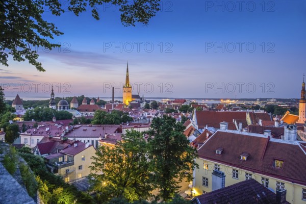 Evening city panorama, St. Olaf's Church in the middle, view of the old town, Tallinn, Estonia