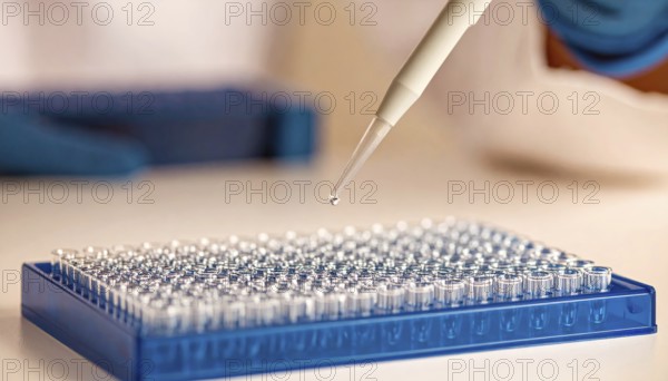 Droplet falls from pipette toward a blue 96-well plate, Pipette dispensing a liquid onto a