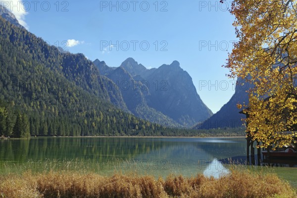 Quiet mountain lake against light, framed by golden leaves, distant peaks and forest are reflected