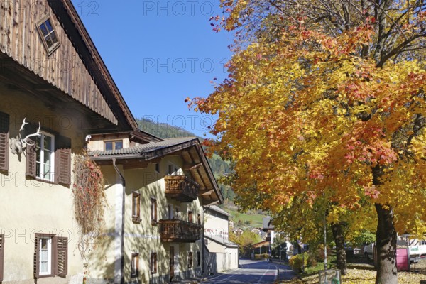 Sunny alpine village with traditional houses and bright autumn trees under a clear blue sky, Drava,