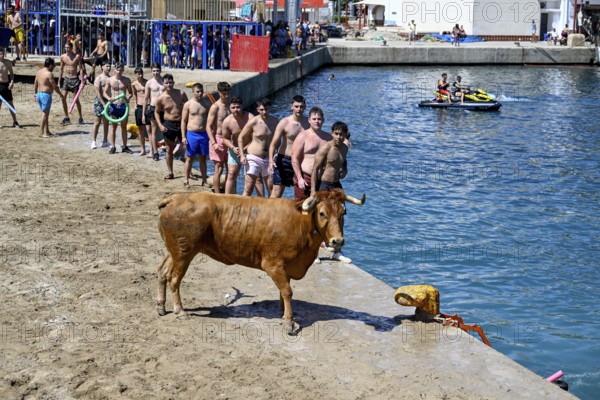 Bous a la Mar Fair, in English Bulls in the Sea, Bullfighting, Javea or Xàbia, Alicante Province,