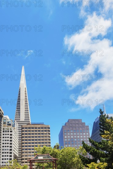 View of downtown financial district seen from Portsmouth square, San Francisco, California, USA