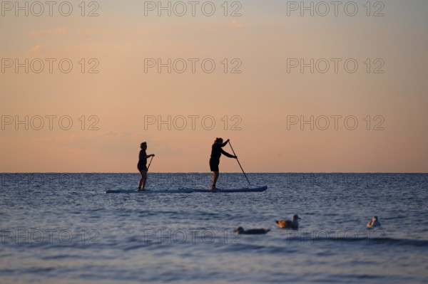 Two stand up paddlers on the Baltic Sea in the evening light, Ahrenshoop, Darß, Mecklenburg-Western