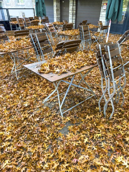 Autumn in town, beer garden, pub terrace under deciduous trees, swamp oak, floor and table chairs