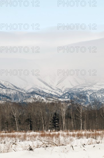 Japan, Hokkaido, Rausu, Mountains in winter Landscape, Hokkaido, North, East, Winter, (Paysage)