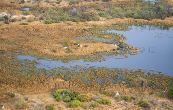 Marsh landscape on a lake with many termite hills, aerial view, Okavango Delta, Botswana