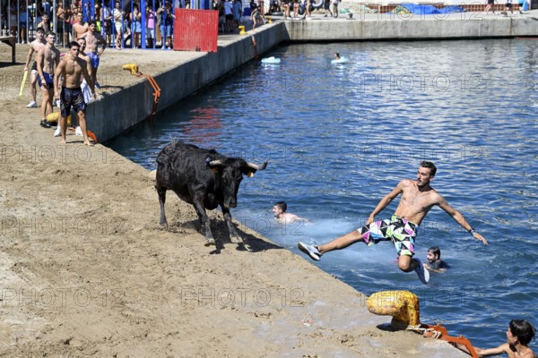 Bous a la Mar Fair, in English Bulls in the Sea, Bullfighting, Javea or Xàbia, Alicante Province,
