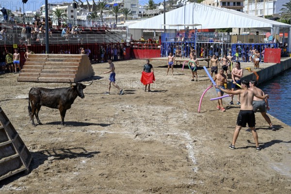 Bous a la Mar Fair, in English Bulls in the Sea, Bullfighting, Javea or Xàbia, Alicante Province,