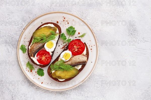 Sandwiches on rye bread, with sprats, quail eggs, fresh tomatoes and pickled cucumber, appetizer,
