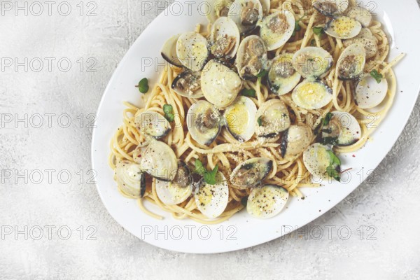Spaghetti with vongole clams, in cream sauce, carbonara, on a white plate, homemade, top view, no