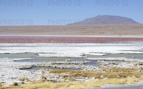 Laguna Colorada - Reserva nacional de fauna andina Eduardo Abaroa - Deserto do Lipez - Departamento