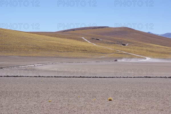 Sector Lagunas Miscanti y Miñiques, Los Flamencos Reserve National, Atacama Desert, Region de