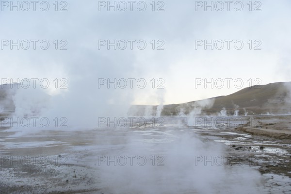 Geysers El Tatio - Deserto do Atacama - Região de Antofagasta - Chile ATENÇÃO: NÃO PODEMOS