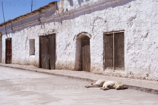 San Pedro de Atacama - Deserto do Atacama - Região de Antofagasta - Chile ATENÇÃO: NÃO PODEMOS
