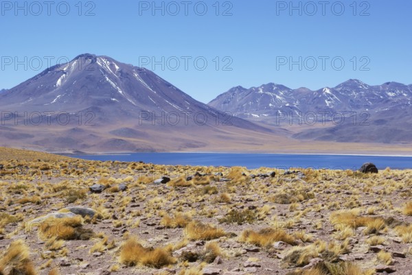 Laguna Miscanti - Reserva Nacional Los Flamencos - Deserto do Atacama - Região de Antofagasta -